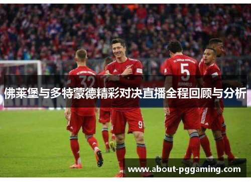 佛莱堡与多特蒙德精彩对决直播全程回顾与分析
