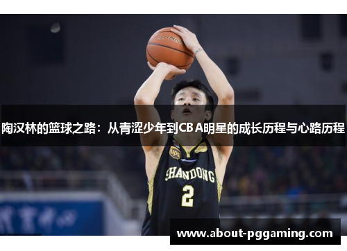 陶汉林的篮球之路：从青涩少年到CBA明星的成长历程与心路历程